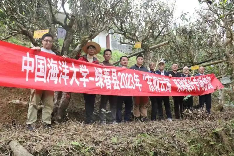 关于汪东风一行赴绿春县调研茶产业发展的资讯