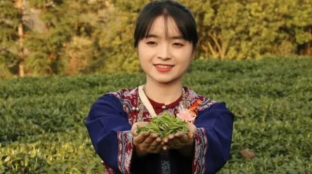 有关于春来茶溢香 三都茶农采收忙的消息(2)