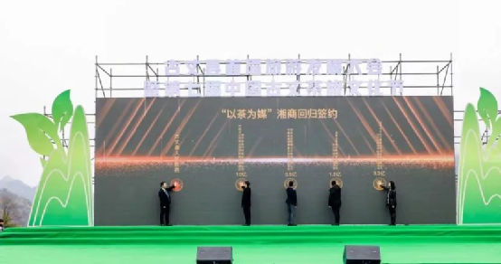 关于神秘湘西 茶乡古丈：2023古丈县首届旅游发展大会暨第七届中国·古丈茶旅文化节开幕的相关信息(12)