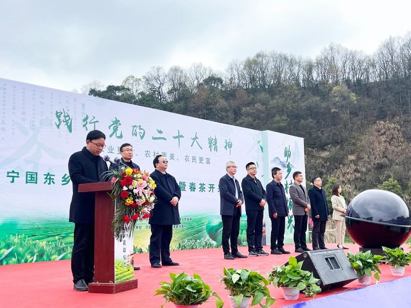 关于宁国东乡茶叶交易市场开市暨春茶开采启动仪式今日举行的资讯(3)
