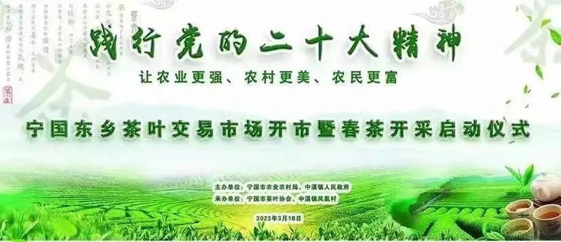 关于宁国东乡茶叶交易市场开市暨春茶开采启动仪式今日举行的资讯(1)