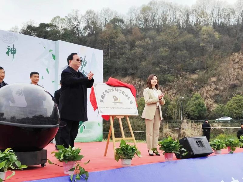 关于宁国东乡茶叶交易市场开市暨春茶开采启动仪式今日举行的资讯(6)