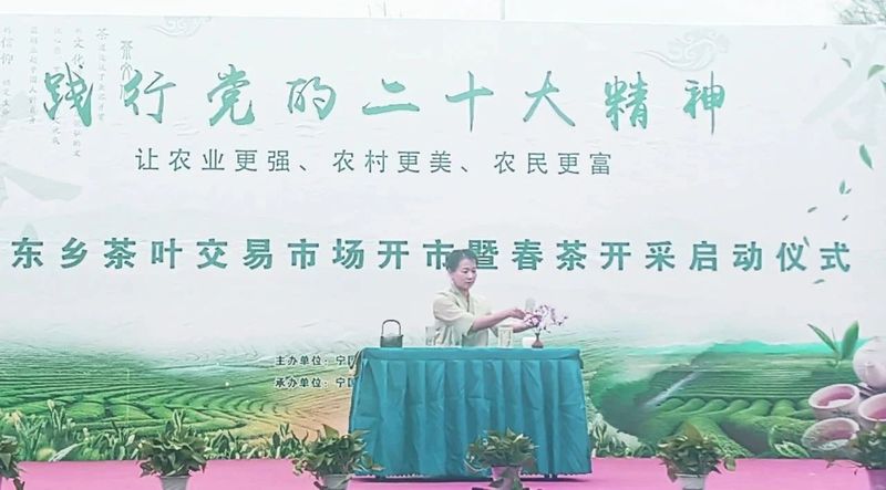关于宁国东乡茶叶交易市场开市暨春茶开采启动仪式今日举行的资讯(5)