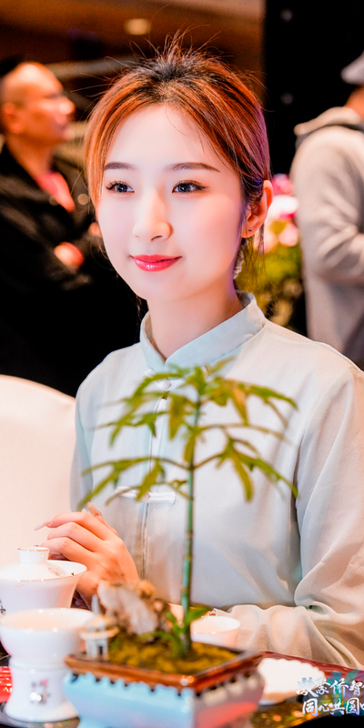关于世界福茶·茗聚侨心，“茗星”璀璨！今天，他们站在了舞台中央！的内容(10)