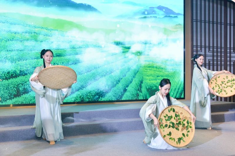 关于世界福茶·茗聚侨心，“茗星”璀璨！今天，他们站在了舞台中央！的内容(26)