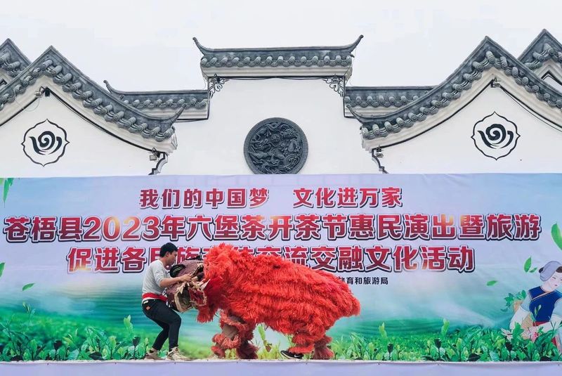 有关于六堡茶 开茶咯！的信息(9)