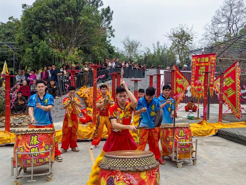 有关于六堡茶 开茶咯！的信息(4)