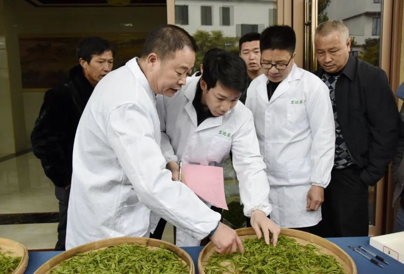 有关于政和白茶首届采制茶竞赛在东平镇举办的新闻(2)