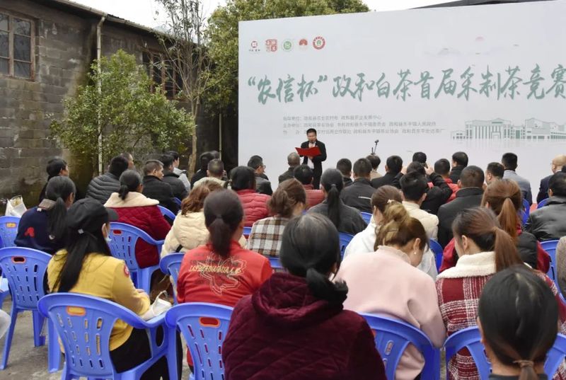 有关于政和白茶首届采制茶竞赛在东平镇举办的新闻