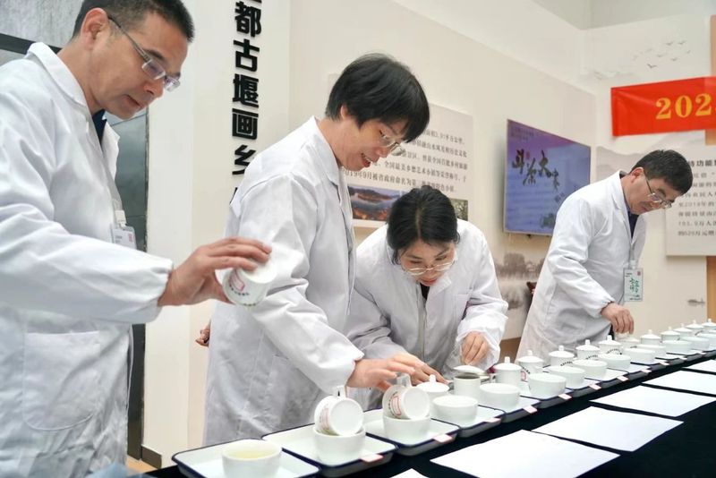 有关于早春第一“鲜”！2023“莲城雾峰”春茶节启幕的内容(4)