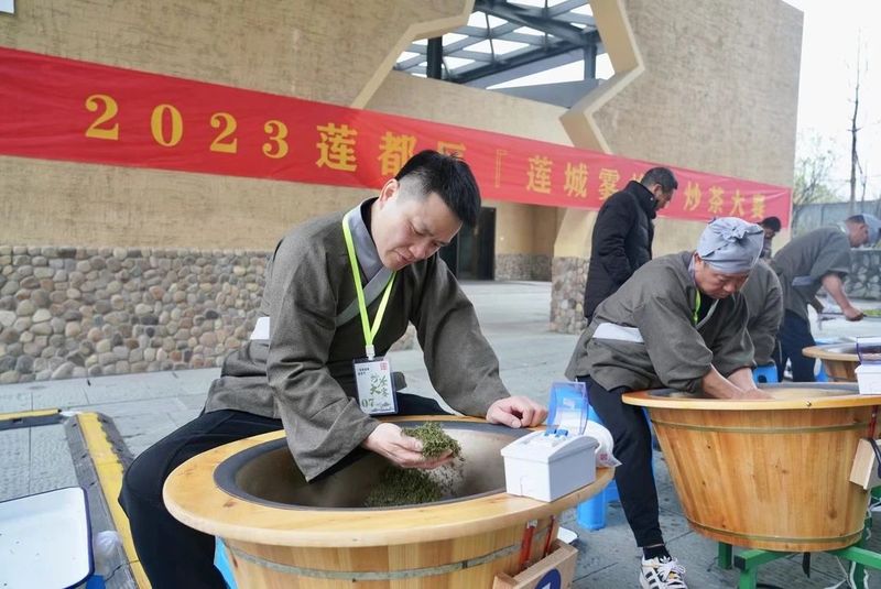 有关于早春第一“鲜”！2023“莲城雾峰”春茶节启幕的内容(2)