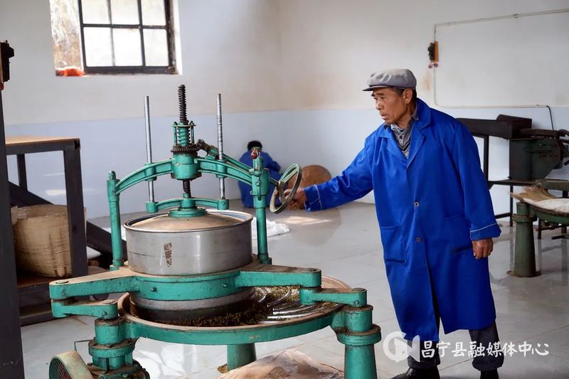 有关于昌宁：30余万亩生态茶园进入春茶季的信息(3)