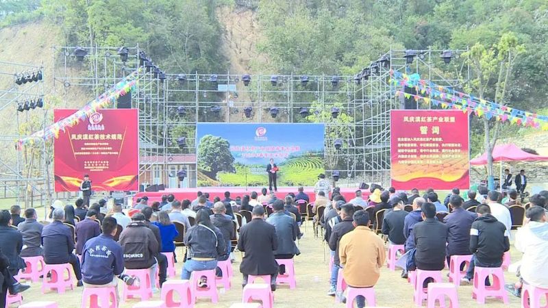 有关于临沧凤庆：2023年春茶迎来全面开采季的内容(2)