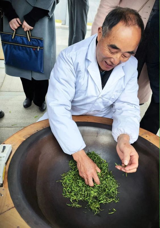 有关于君山银针 人类非遗， 2023年岳阳黄茶君山银针开茶节正式启动的相关内容(4)