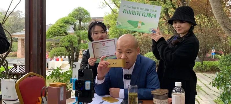 有关于君山银针 人类非遗， 2023年岳阳黄茶君山银针开茶节正式启动的相关内容(14)