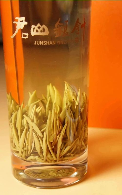 有关于君山银针 人类非遗， 2023年岳阳黄茶君山银针开茶节正式启动的相关内容(9)