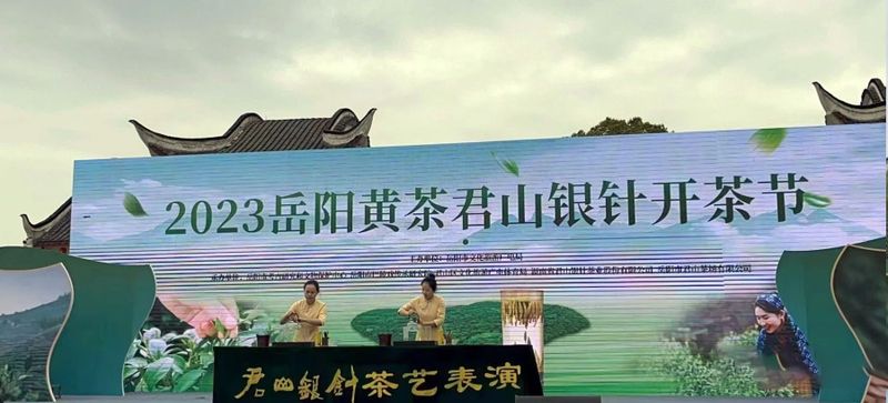 有关于君山银针 人类非遗， 2023年岳阳黄茶君山银针开茶节正式启动的相关内容(2)