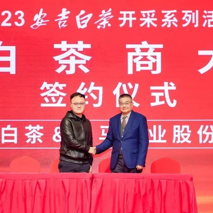 有关于只此绿意 又见茶香——首届极白茶商大会成功召开，正式开启2023年茶季！的资讯(5)