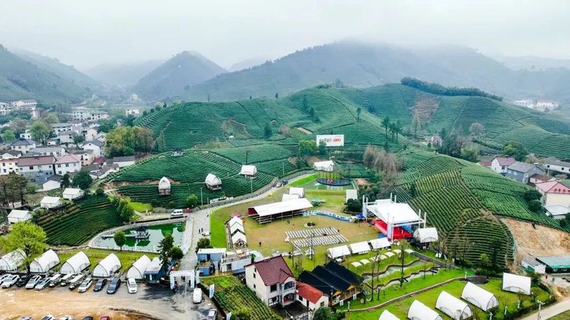 有关于只此绿意 又见茶香——首届极白茶商大会成功召开，正式开启2023年茶季！的资讯(11)