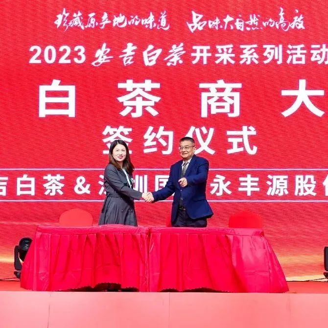 有关于只此绿意 又见茶香——首届极白茶商大会成功召开，正式开启2023年茶季！的资讯(6)