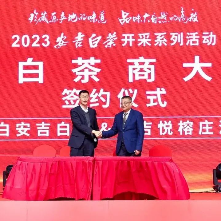 有关于只此绿意 又见茶香——首届极白茶商大会成功召开，正式开启2023年茶季！的资讯(8)