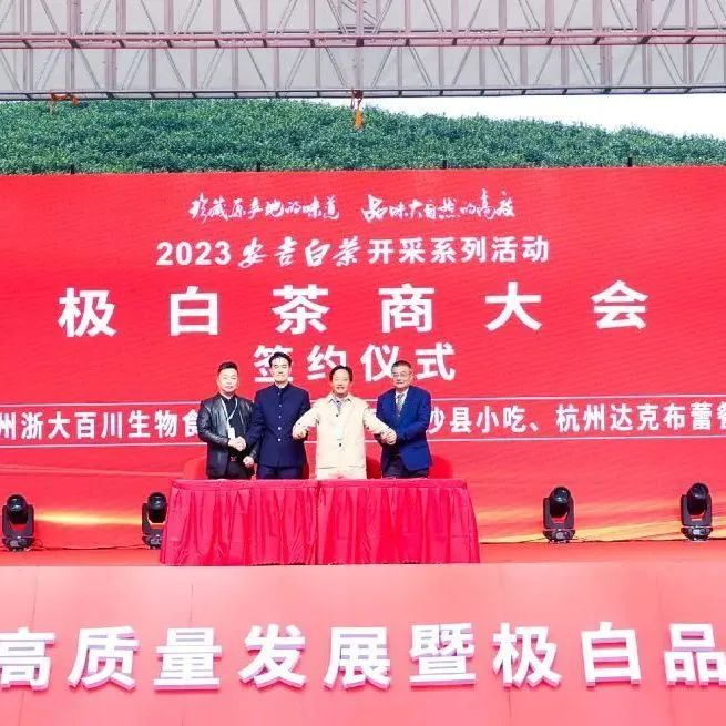 有关于只此绿意 又见茶香——首届极白茶商大会成功召开，正式开启2023年茶季！的资讯(9)