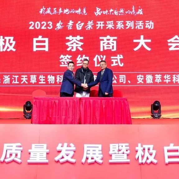 有关于只此绿意 又见茶香——首届极白茶商大会成功召开，正式开启2023年茶季！的资讯(10)