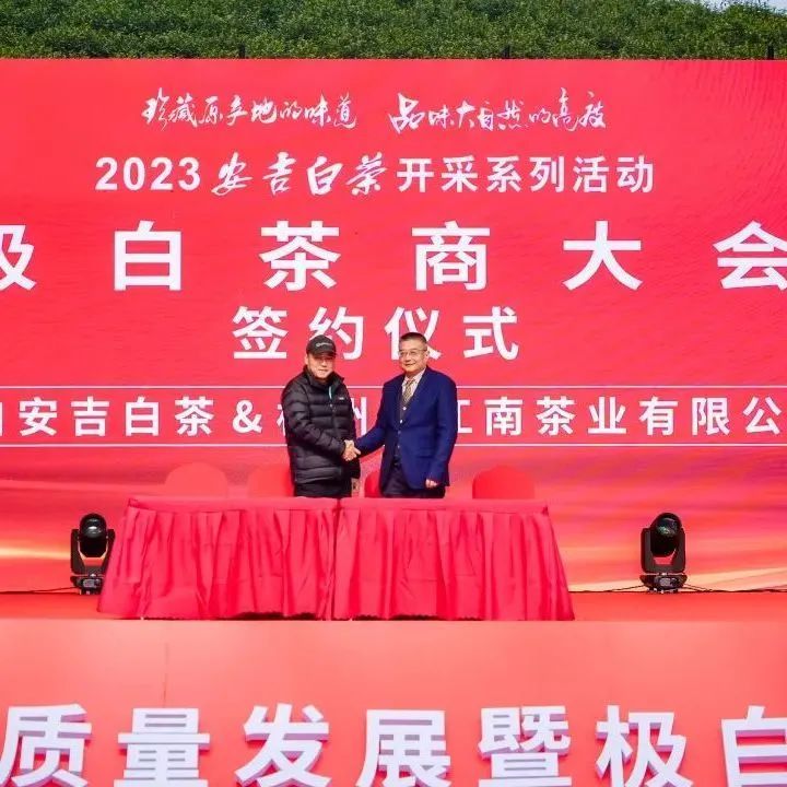 有关于只此绿意 又见茶香——首届极白茶商大会成功召开，正式开启2023年茶季！的资讯(7)