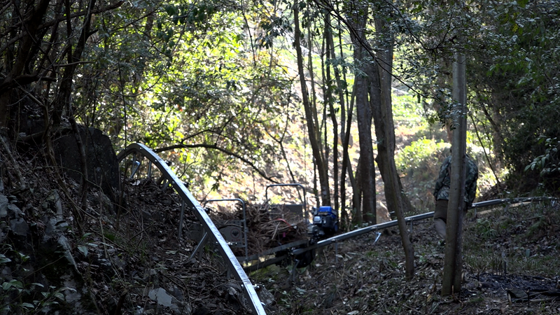 关于“小火车”惊现太平高山茶园的新闻(10)