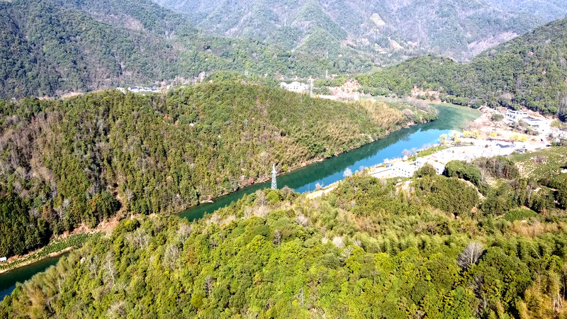 关于“小火车”惊现太平高山茶园的新闻(7)