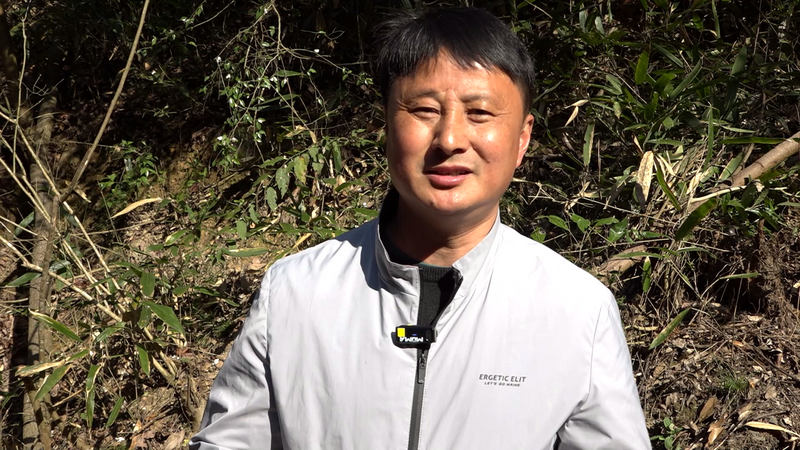 关于“小火车”惊现太平高山茶园的新闻(6)