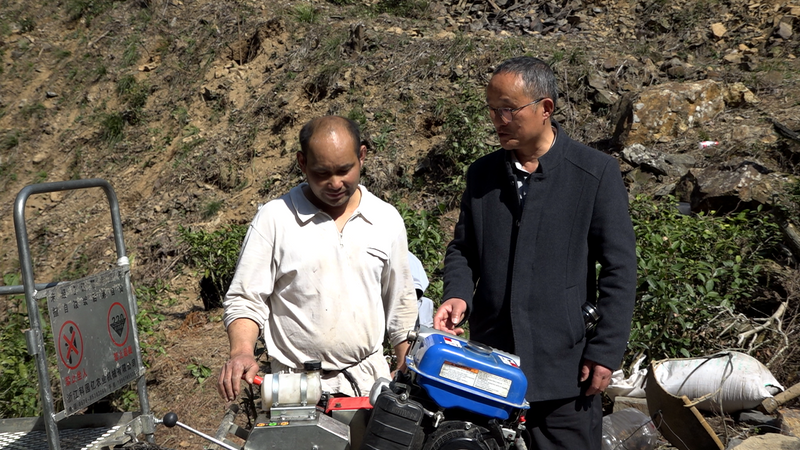 关于“小火车”惊现太平高山茶园的新闻(12)