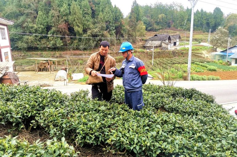 关于湄潭马山镇：电力护航茶飘香的信息