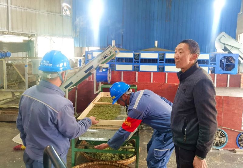 关于湄潭马山镇：电力护航茶飘香的信息(1)