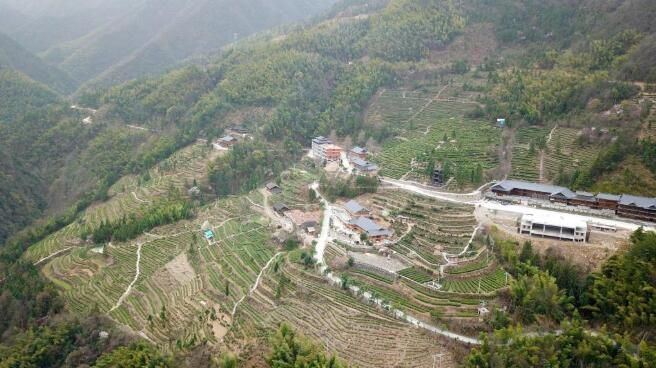 有关于湖南渠江源村 雪峰深处奏响茶旅融合发展“新乐章”的内容