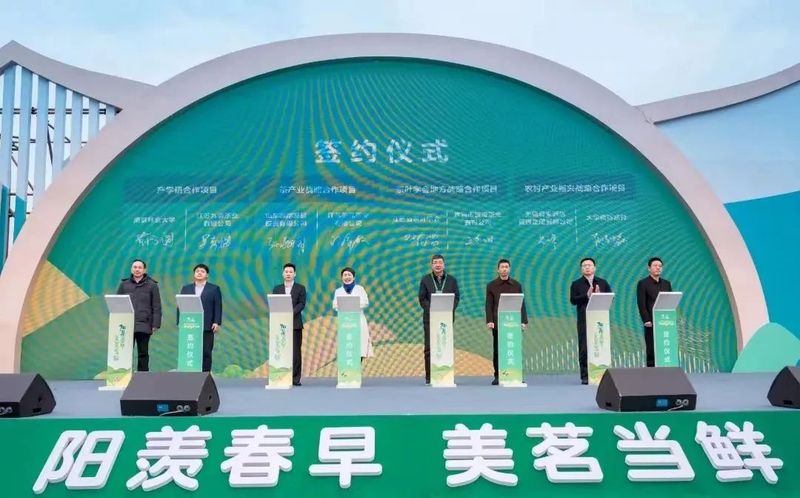 有关于走进茶区———省茶叶学会专家参加宜兴阳羡早春茶开采节活动!的信息