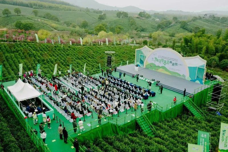 有关于走进茶区———省茶叶学会专家参加宜兴阳羡早春茶开采节活动!的信息(2)