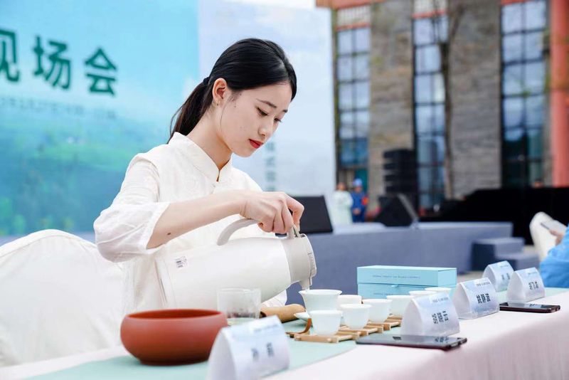 有关于三茶统筹·名山模式现场会在雅安名山隆重举办的消息(14)