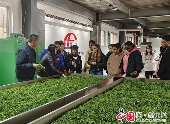 关于青岛即墨鳌山卫街道：春茶飘香 助推乡村振兴的信息