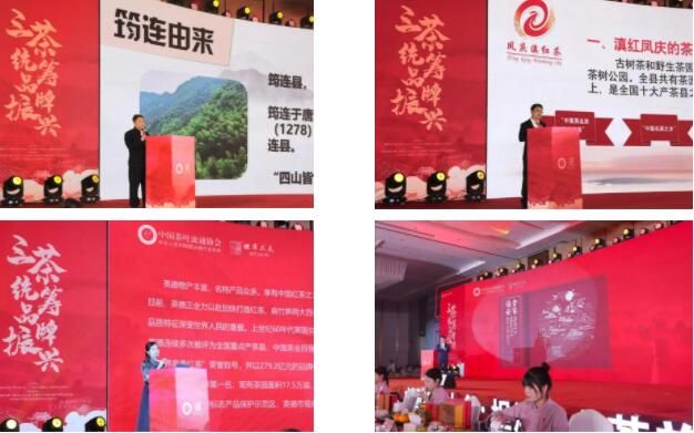 有关于2023红茶城市品牌建设交流会举行的消息(4)