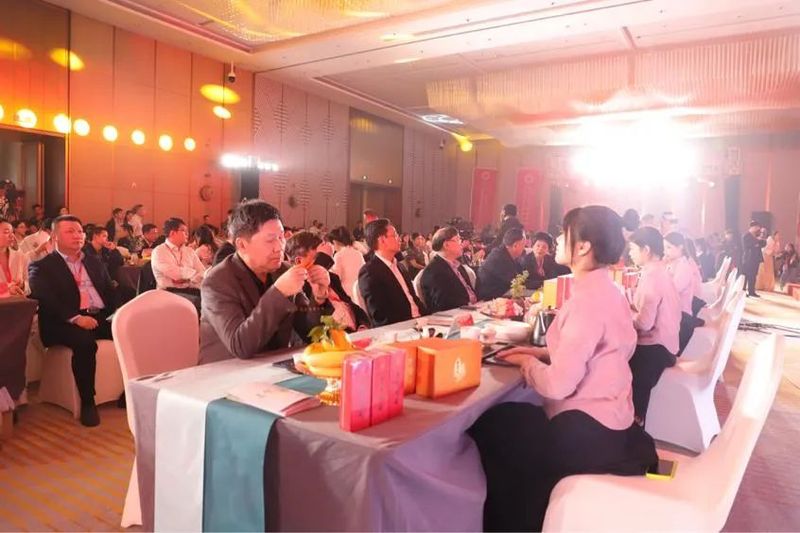 有关于2023红茶城市品牌建设交流会举行的消息(2)