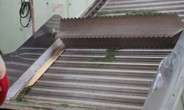 关于屏山县建设标准化茶叶加工厂，助力茶产业高质量发展的消息(2)