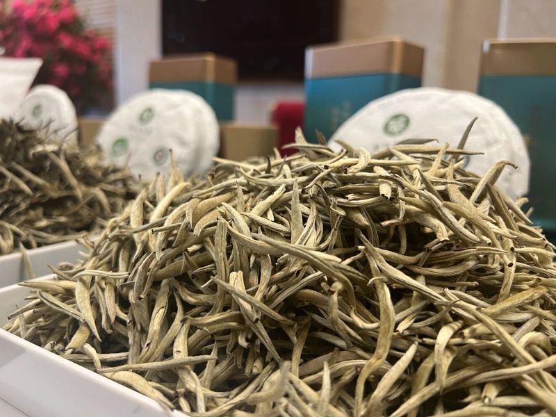 有关于“景谷大白茶”区域公共品牌正式发布的资讯(4)