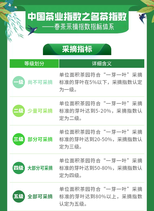 关于2023春茶季：各名茶最新开采情况及价格的新闻