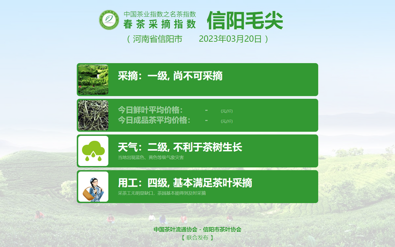 关于2023春茶季：各名茶最新开采情况及价格的新闻(8)