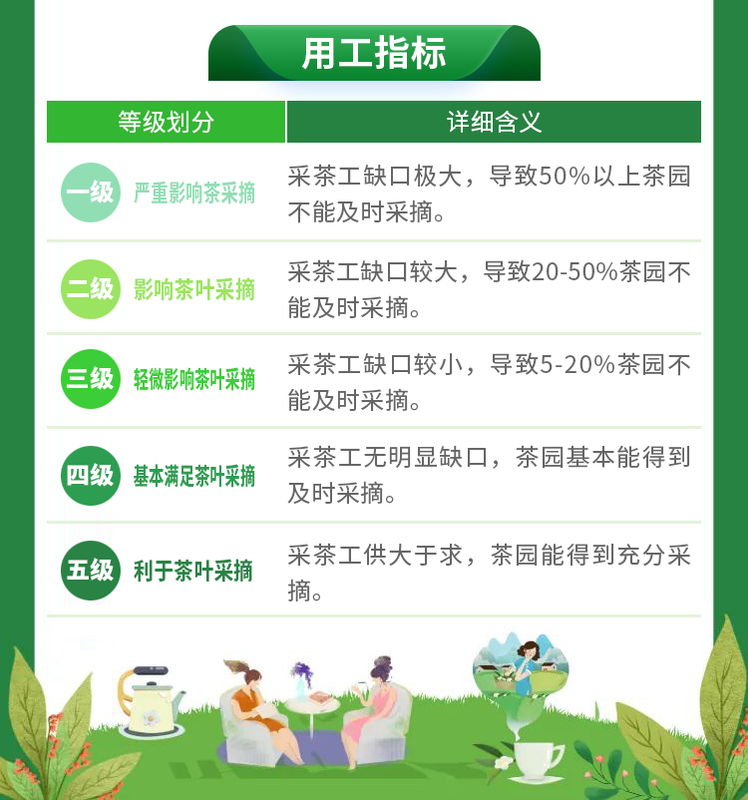 关于2023春茶季：各名茶最新开采情况及价格的新闻(2)