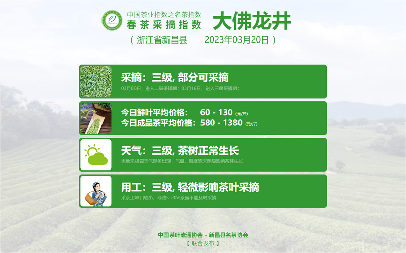 关于2023春茶季：各名茶最新开采情况及价格的新闻(4)