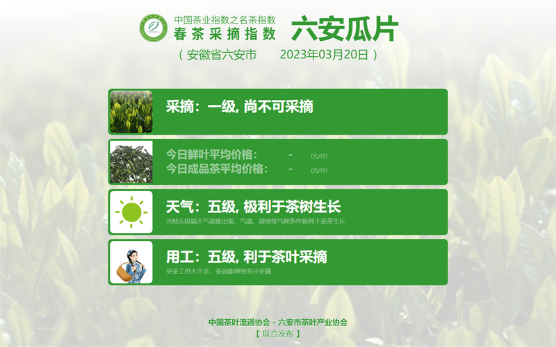 关于2023春茶季：各名茶最新开采情况及价格的新闻(9)
