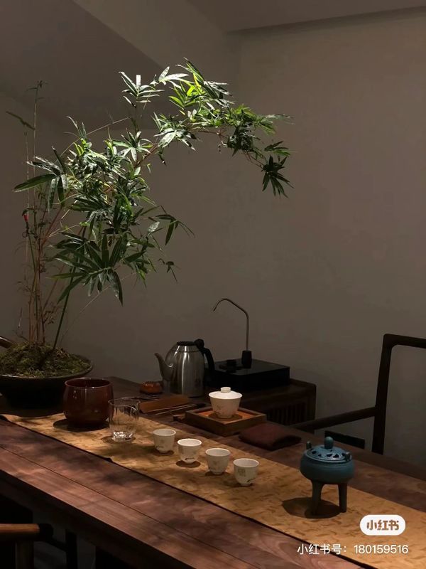 关于三饮茶会遇见蒙顶山茶—— “蒙顶甘露走进星级茶馆”招募品鉴官的信息(16)