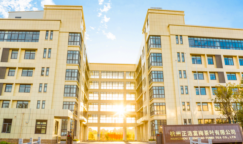 有关于赋能富阳大龙井产业全链提升 卢正浩工业4.0时代正式开启的新闻(3)